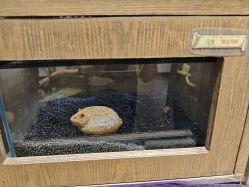 -Zoolung Zoolung动物主题公园(海信广场店)