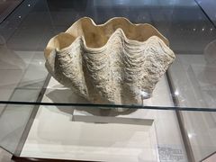 -青岛贝壳博物馆