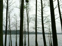 景点-湖光岩风景区