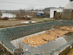 -美家乐农庄·露营·团建(大治路店)