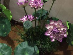 -南亚水鑫温泉SPA(恒宇商业广场店)