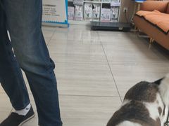 -申普宠物医院·眼科·心内科·影像科(普陀分院)
