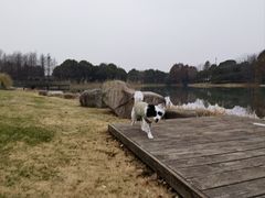 -尚贤河湿地