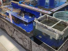 水产区-乔家小院•本地小海鲜•非遗驴肉(万年泉路店)