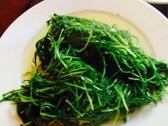 iphone_upload_pic-苍洱春饭店