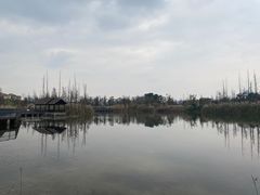 -白鹭湾湿地公园