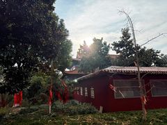 -开福禅寺