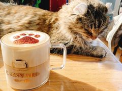 -猫小院猫主题餐厅(南锣旗舰店)