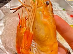 -荟廷·晶萃(陆家嘴尚悦湾店)