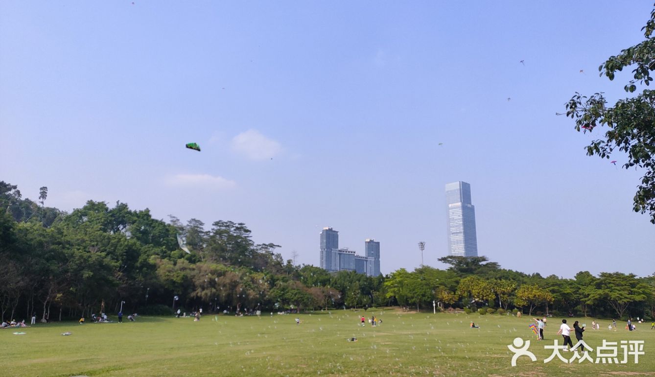 风筝篇 疫情过后回到深圳 第一逛的地方就来到了莲花山