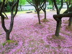 -苏州河梦清园环保主题公园