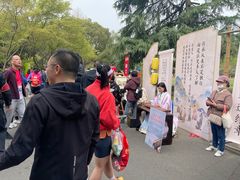-青枫公园