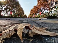-东华大学(松江校区)