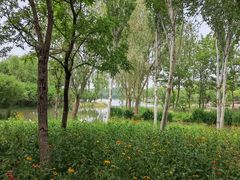 -东郊湿地公园