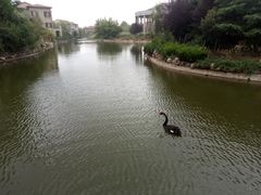 -芭东小镇温泉