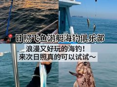 -日照海滨国家森林公园