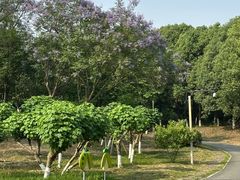 -白鹭湾湿地公园