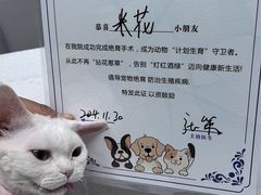 -达爱动物医院·犬猫分区·CT·复杂眼科(远洋山水分院)
