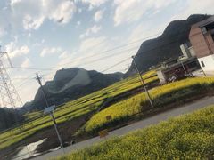 -老凯俚酸汤鱼(鸿通城店)