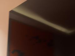 -世外桃源水疗会(皇庭彩园店)