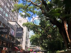 -海港城