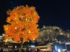 -紫阳古街