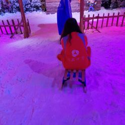-圣名游乐城冰雪大世界