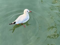 -蠡湖大桥公园