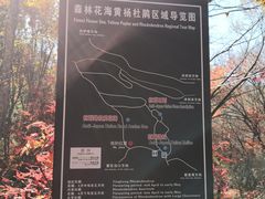 -本溪老边沟风景区