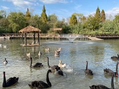 -溱湖国家湿地公园