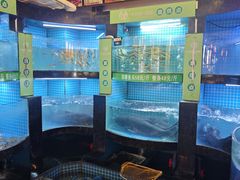 -千岛湖小鱼儿·淳安匠心农家菜