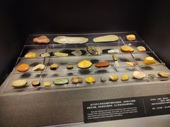 -金沙遗址博物馆