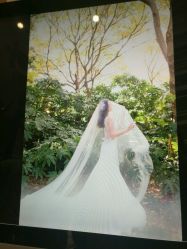 点击看大图 -太郎花子婚纱摄影艺术中心