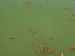 -梦之城购物中心