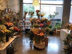 -dotcom coffee古点咖啡(致真大厦店)