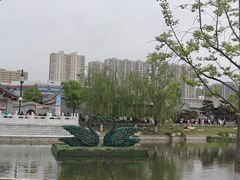 -白沙古井