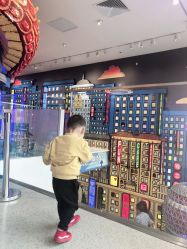 -乐高品牌旗舰店(人民广场店)