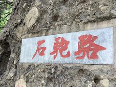 -阳台山自然风景区