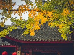 -惠山古镇·寄畅园