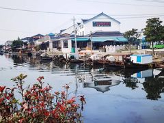 -莲花岛景区