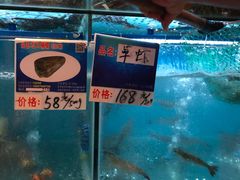 -南海渔家•海鲜•正宗海南菜(海棠湾店)