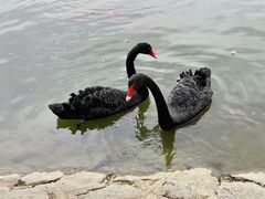 -中国农业博物馆
