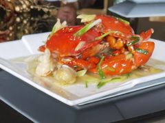 -碧丽宫大酒店(召稼楼店)