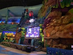 -青岛嘉年华主题乐园