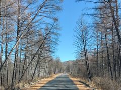 -莫尔道嘎国家森林公园