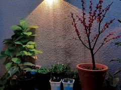 -About Bistro關於·泰式家庭料理