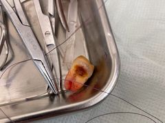 -泰康拜博口腔(世博园乐尔店)