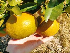 -梅州天地人花园酒店(梅县人民广场店)