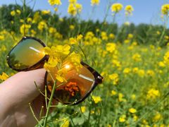 -天津武清北运河郊野公园房车露营地