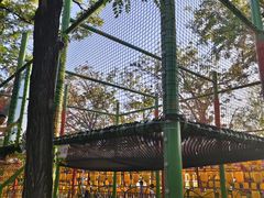 -青龙湖公园